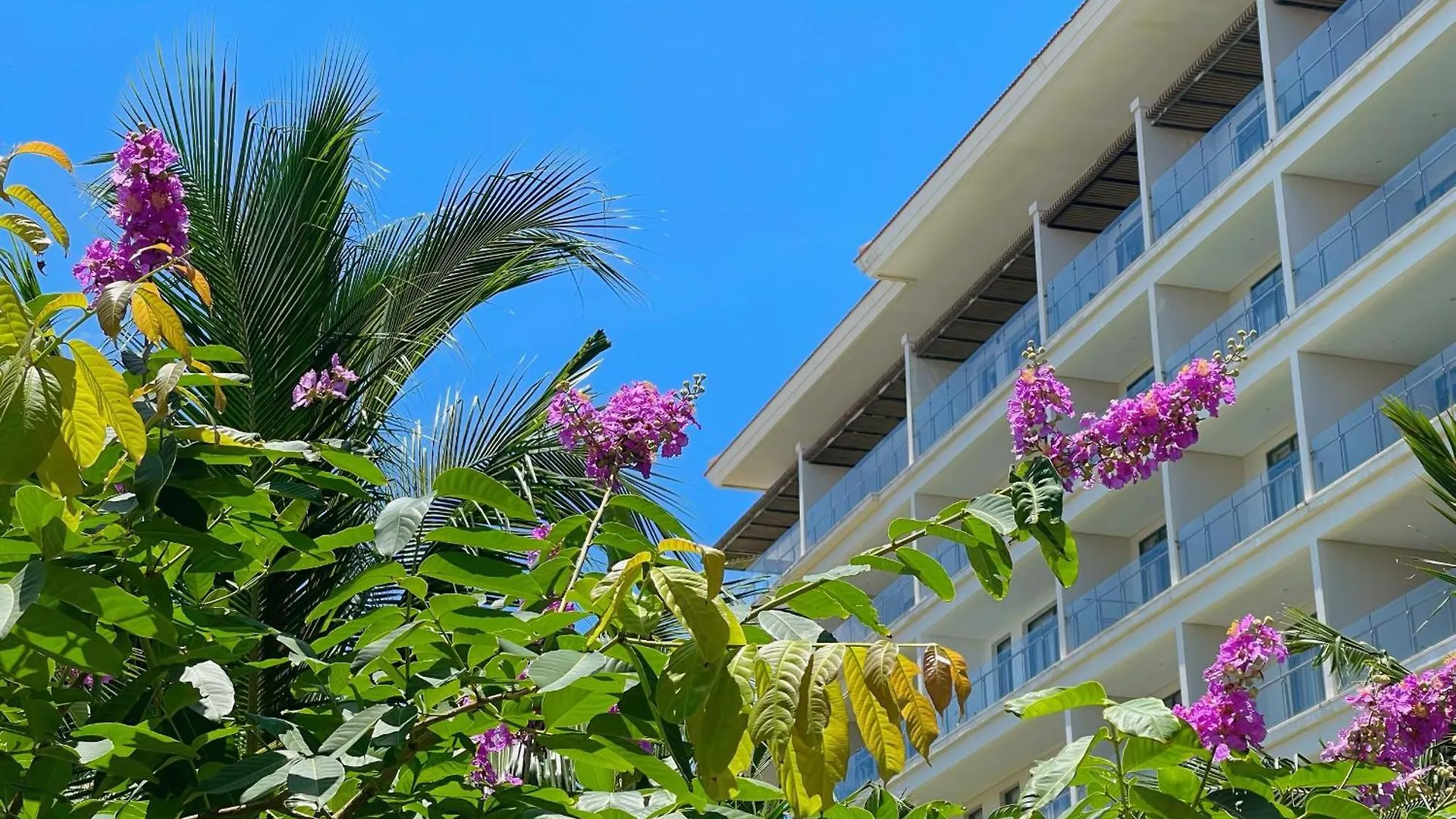 Asana Ocean Resort & Spa Danang